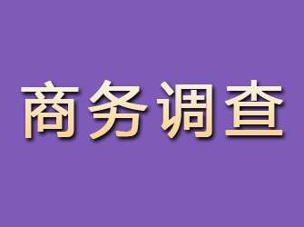 鸡西商务调查